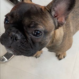 Meet your Posher, Rayna